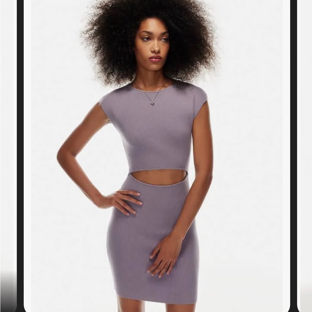 Aritzia Knit Cut Out Dress in Purple Slate
